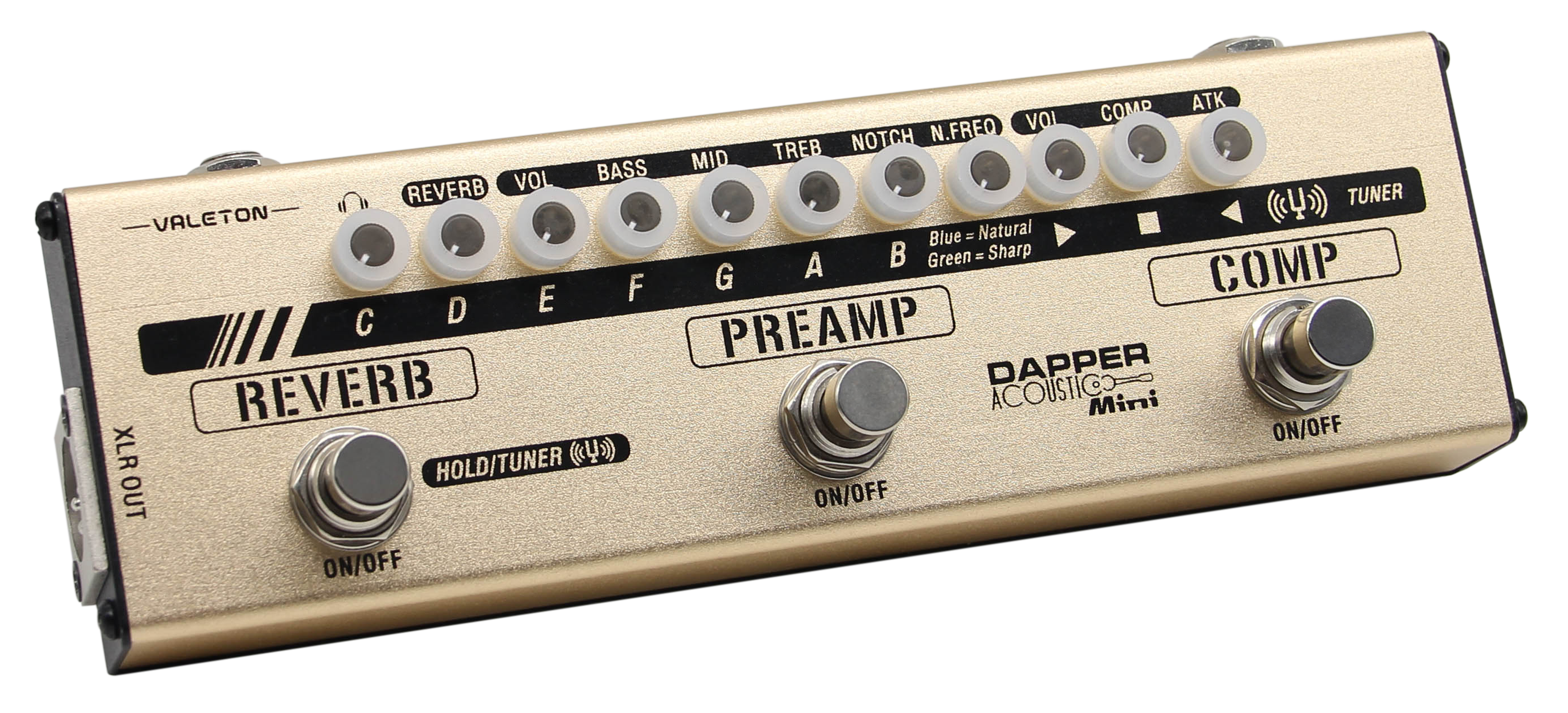 Dapper Acoustic Mini_2.png